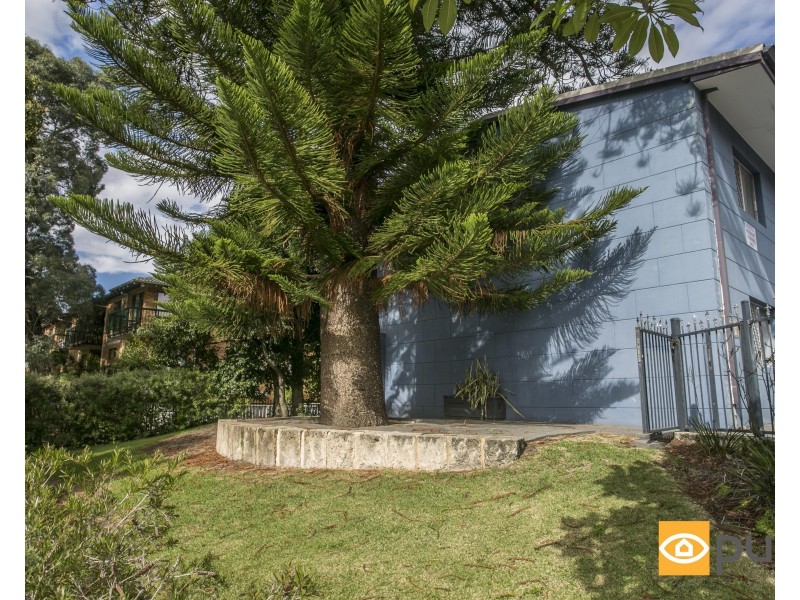 7/37 Cambridge Street, West Leederville WA 6007