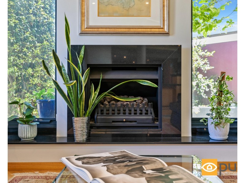 36 Coral Tree Avenue, Subiaco WA 6008