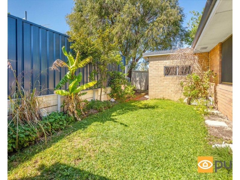 96 Camberwarra Drive, Craigie WA 6025