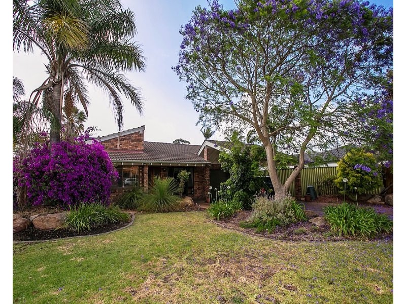 33 Risley Way, Carine WA 6020