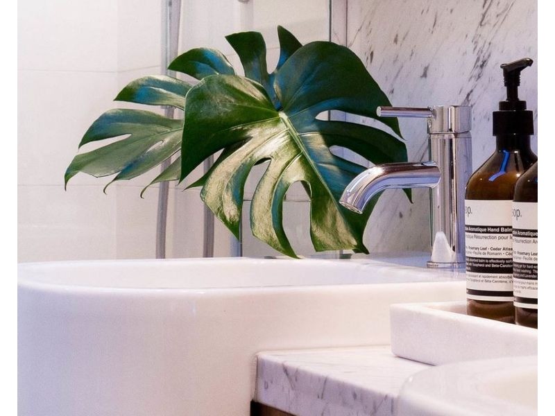 135 Heytesbury Road, Subiaco WA 6008