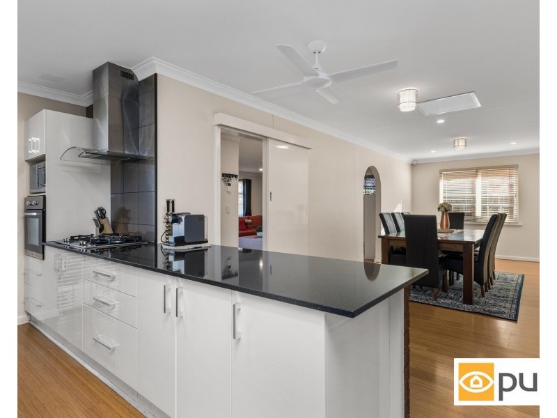 55 Campsbourne Street, Balcatta WA 6021