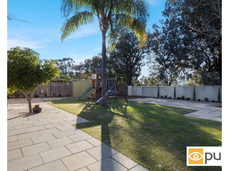 55 Campsbourne Street, Balcatta WA 6021