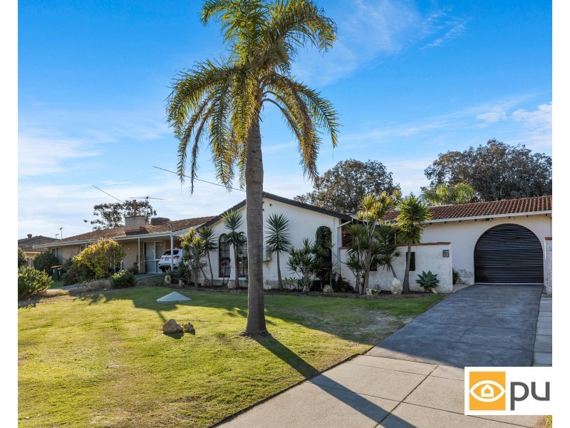 55 Campsbourne Street, Balcatta WA 6021