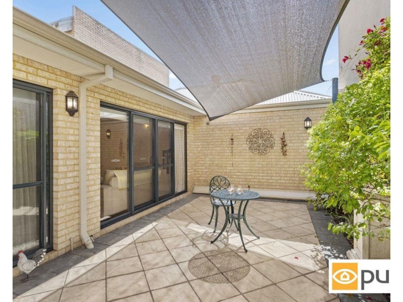 3 Tallow Tree Crescent, Subiaco WA 6008