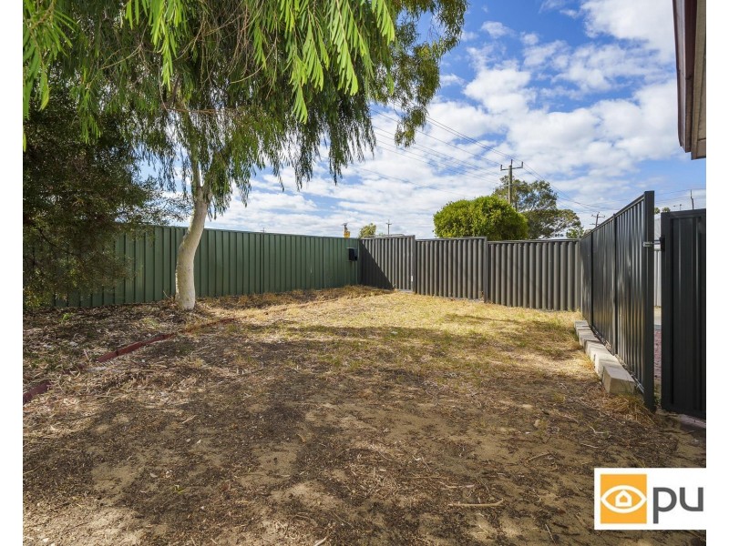 177 Mirrabooka Avenue, Balga WA 6061
