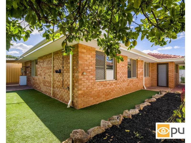 48 Kingston Place, Kardinya WA 6163
