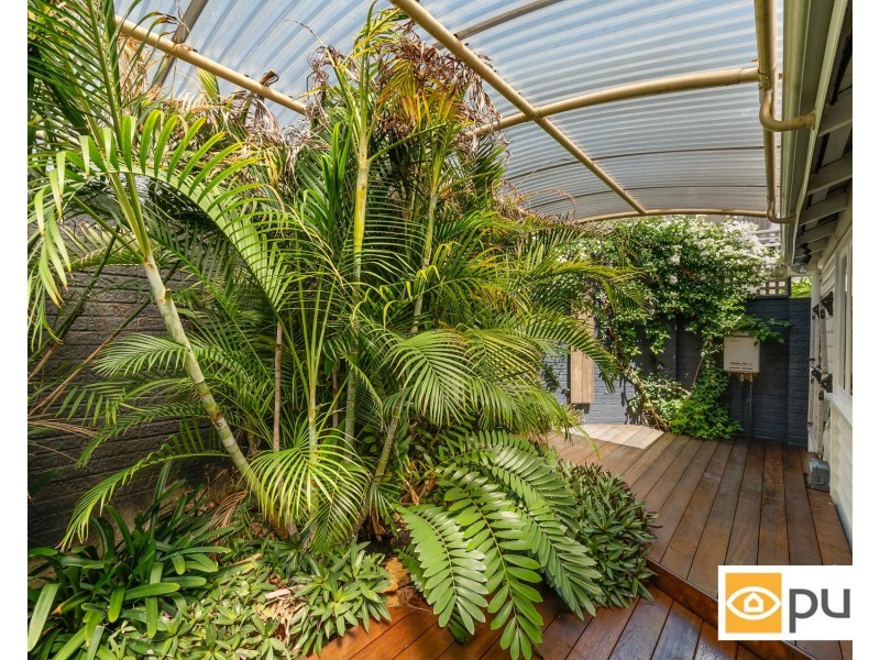 49A John Street, North Fremantle WA 6159