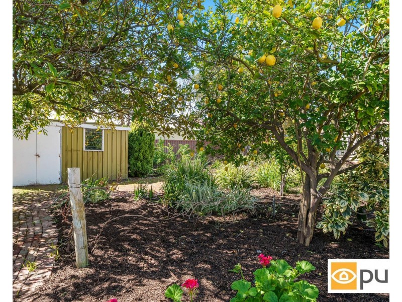 57 Minora Road, Dalkeith WA 6009