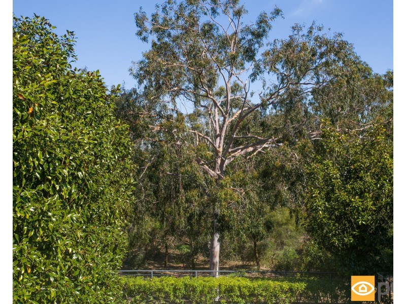 144 Alfred Road, Swanbourne WA 6010