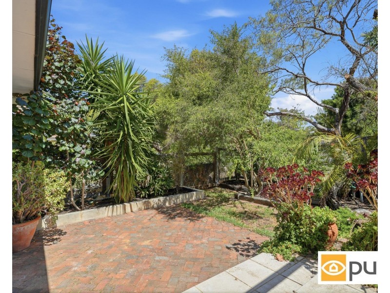 8 Bennewith Street, Hilton WA 6163