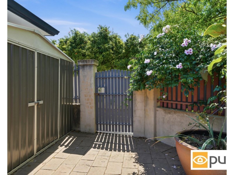 8 Bennewith Street, Hilton WA 6163