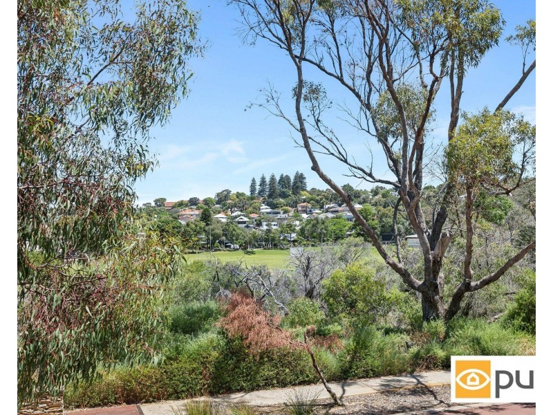 15 Swanway Crescent, Swanbourne WA 6010