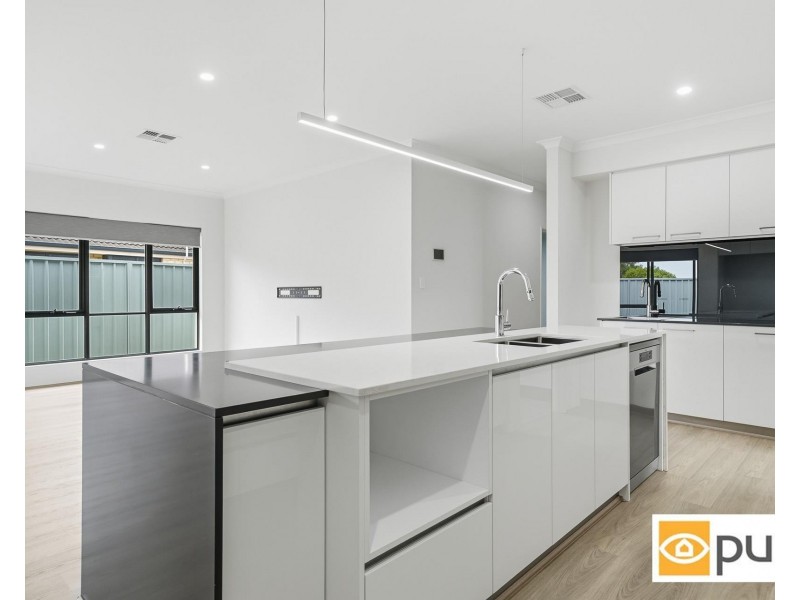 3 Davon Street, Hamilton Hill WA 6163