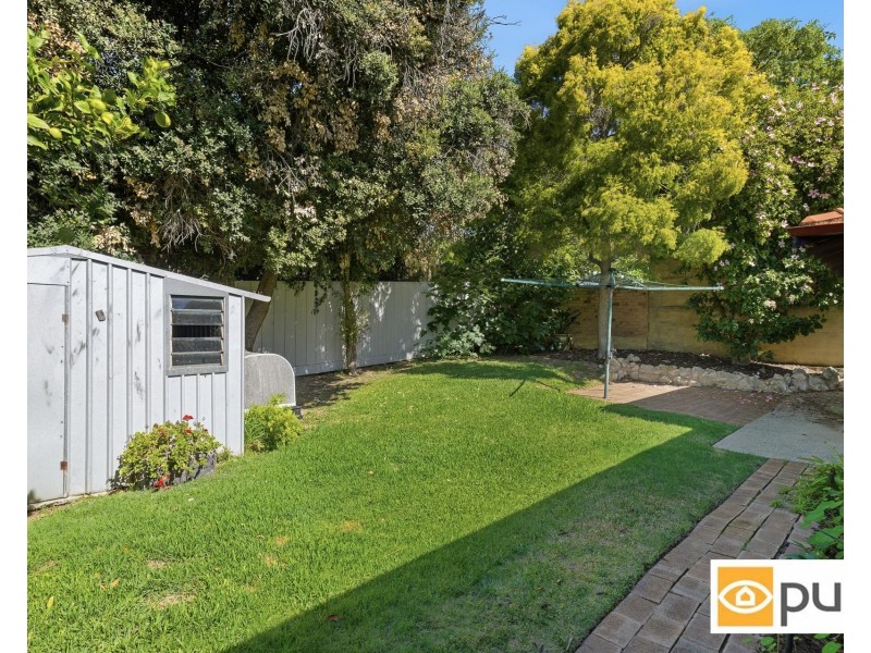 41 Napier Street, Cottesloe WA 6011