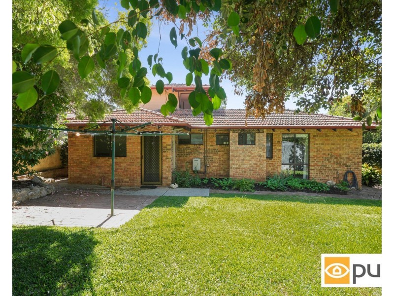 41 Napier Street, Cottesloe WA 6011