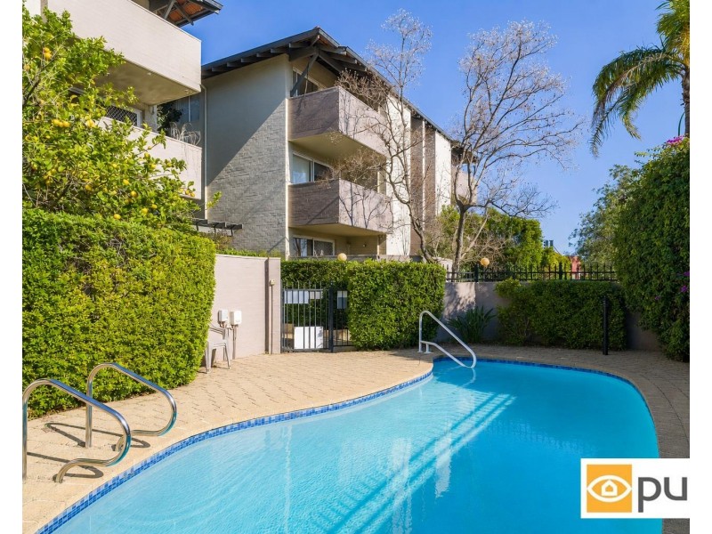 17/237 Cambridge Street, Wembley WA 6014
