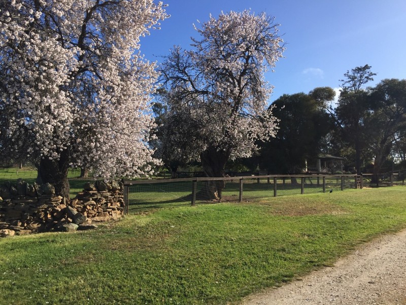 2370 Pine Hut Road, Keyneton SA 5353