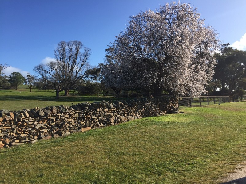 2370 Pine Hut Road, Keyneton SA 5353