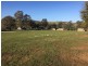 2370 Pine Hut Road, Keyneton SA 5353
