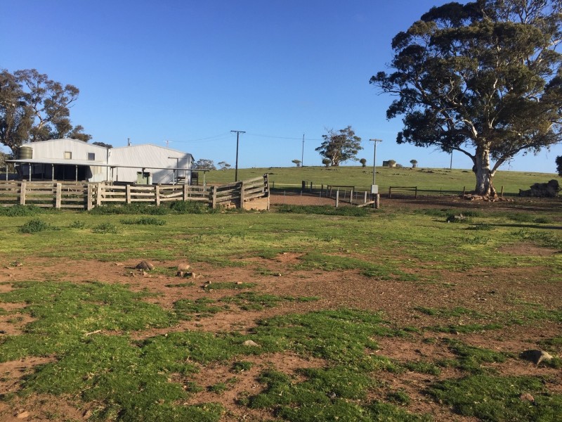 2370 Pine Hut Road, Keyneton SA 5353