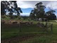2370 Pine Hut Road, Keyneton SA 5353
