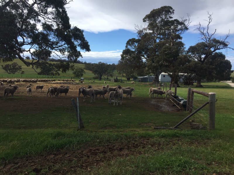 2370 Pine Hut Road, Keyneton SA 5353