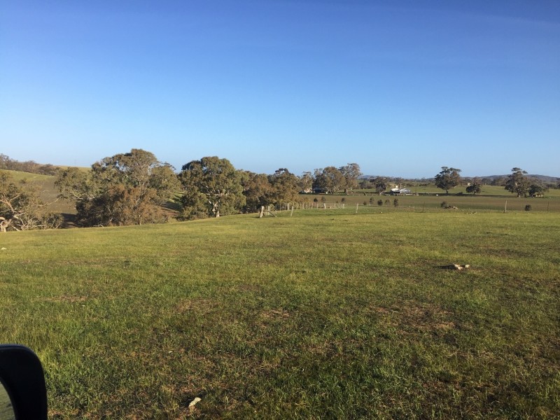 2370 Pine Hut Road, Keyneton SA 5353