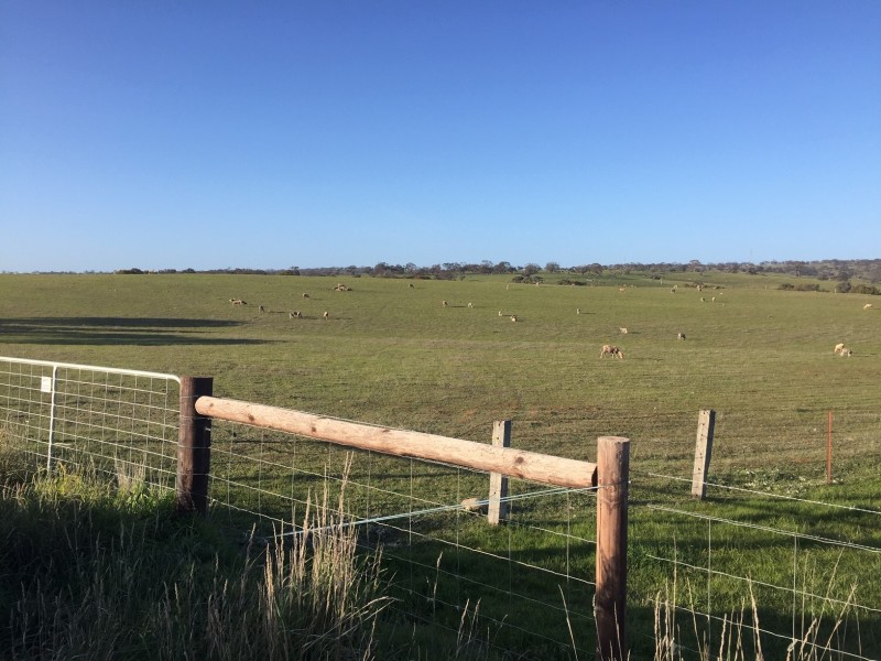 2370 Pine Hut Road, Keyneton SA 5353