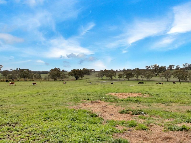 78 Fullwoods Road, Mount Pleasant SA 5235