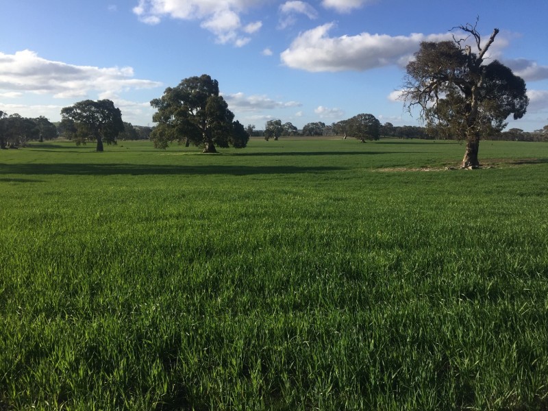 52 Jutland Road, Springton, Springton SA 5235