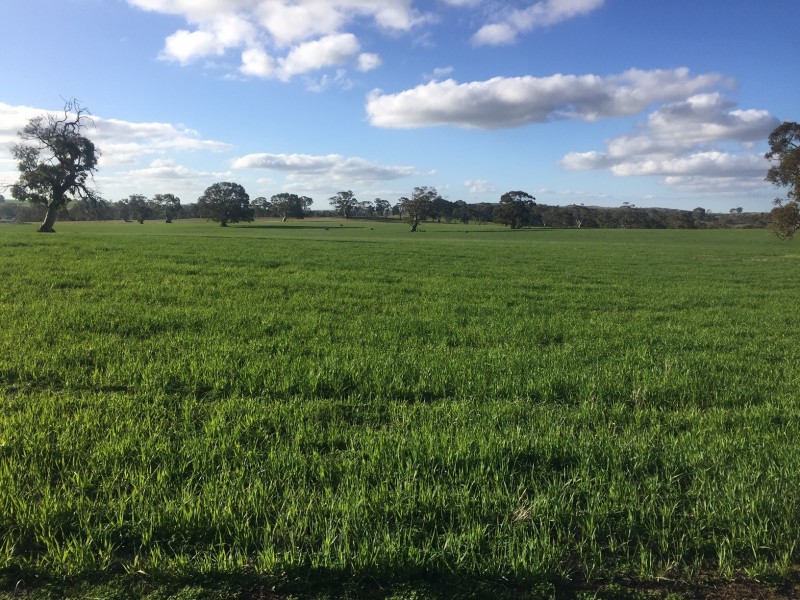 52 Jutland Road, Springton, Springton SA 5235