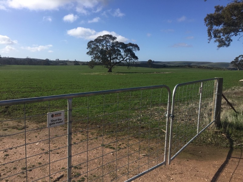 52 Jutland Road, Springton, Springton SA 5235