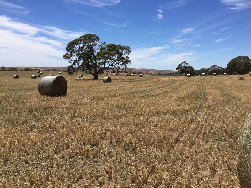 52 Jutland Road, Springton, Springton SA 5235