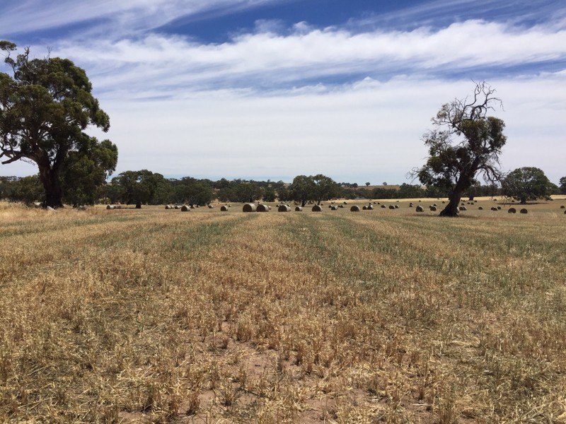 52 Jutland Road, Springton, Springton SA 5235