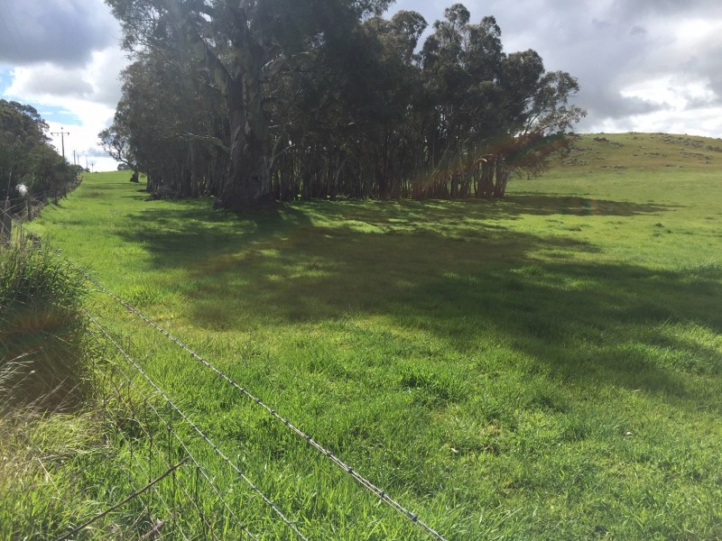 159 Eden Valley Road, Springton SA 5235