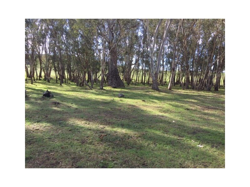 159 Eden Valley Road, Springton SA 5235