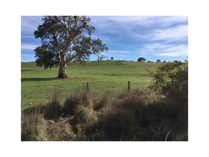 159 Eden Valley Road, Springton SA 5235