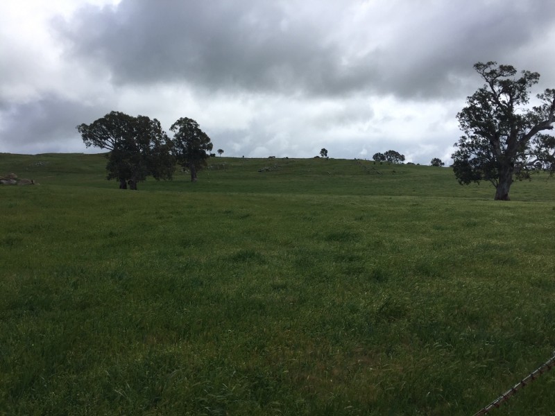 159 Eden Valley Road, Springton SA 5235