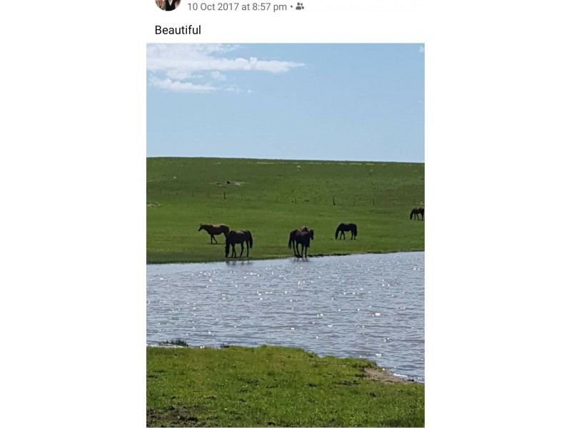 Mount Pleasant SA 5235