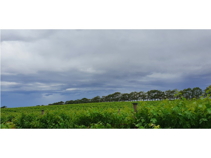 Mount Pleasant SA 5235