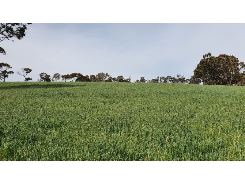 Mount Pleasant SA 5235