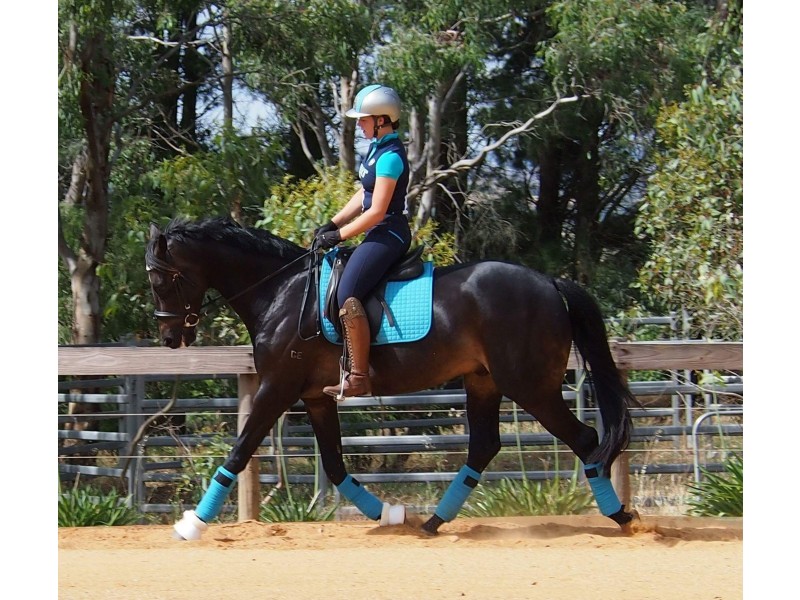 Mount Pleasant SA 5235