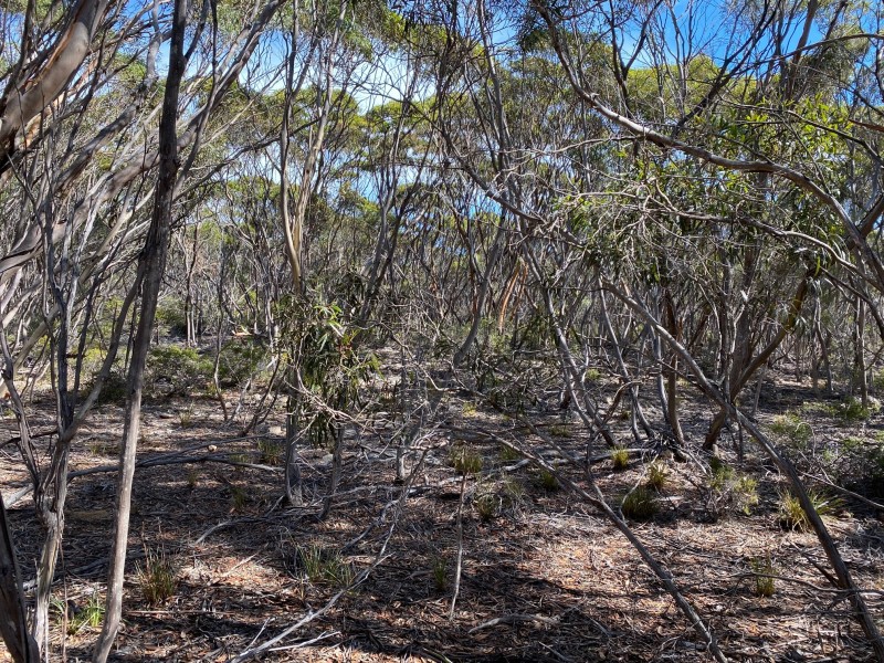 101 Mouth Flat Road – KI, Willson River SA 5222