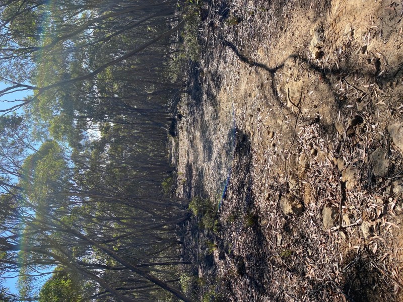 101 Mouth Flat Road – KI, Willson River SA 5222
