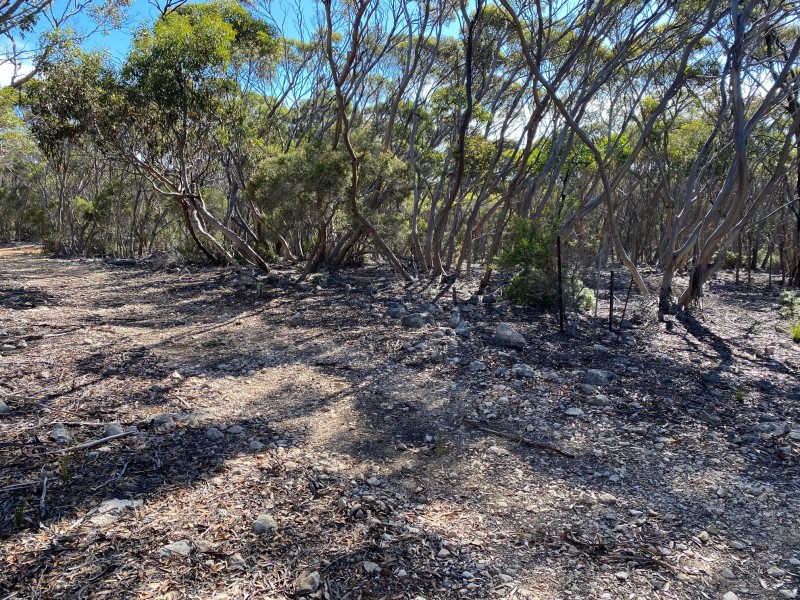 101 Mouth Flat Road – KI, Willson River SA 5222