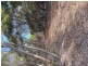 101 Mouth Flat Road – KI, Willson River SA 5222