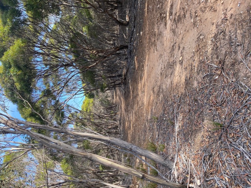 101 Mouth Flat Road – KI, Willson River SA 5222