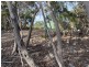 101 Mouth Flat Road – KI, Willson River SA 5222