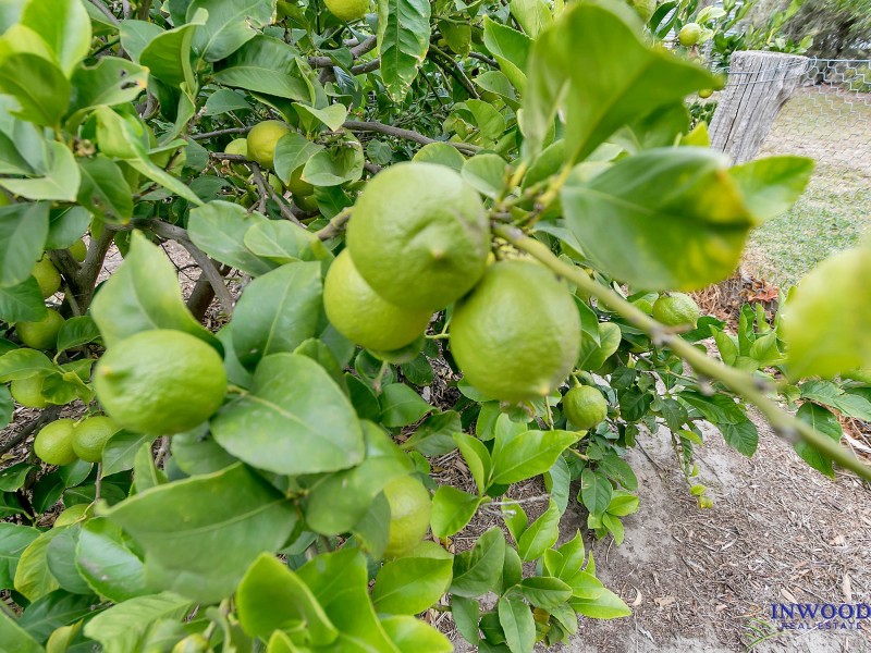 173 Murray Road, Keyneton SA 5353